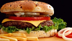 hamburger-diet
